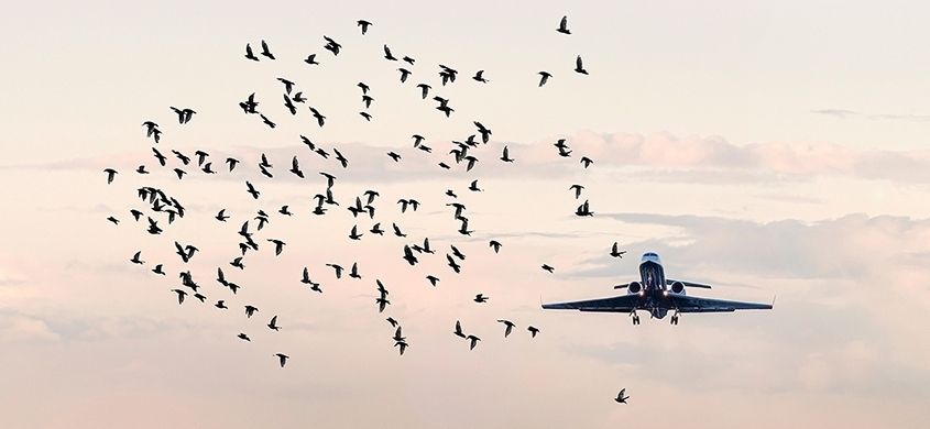 Havelsan presents its precautionary solutions for aviation safety at MSPO