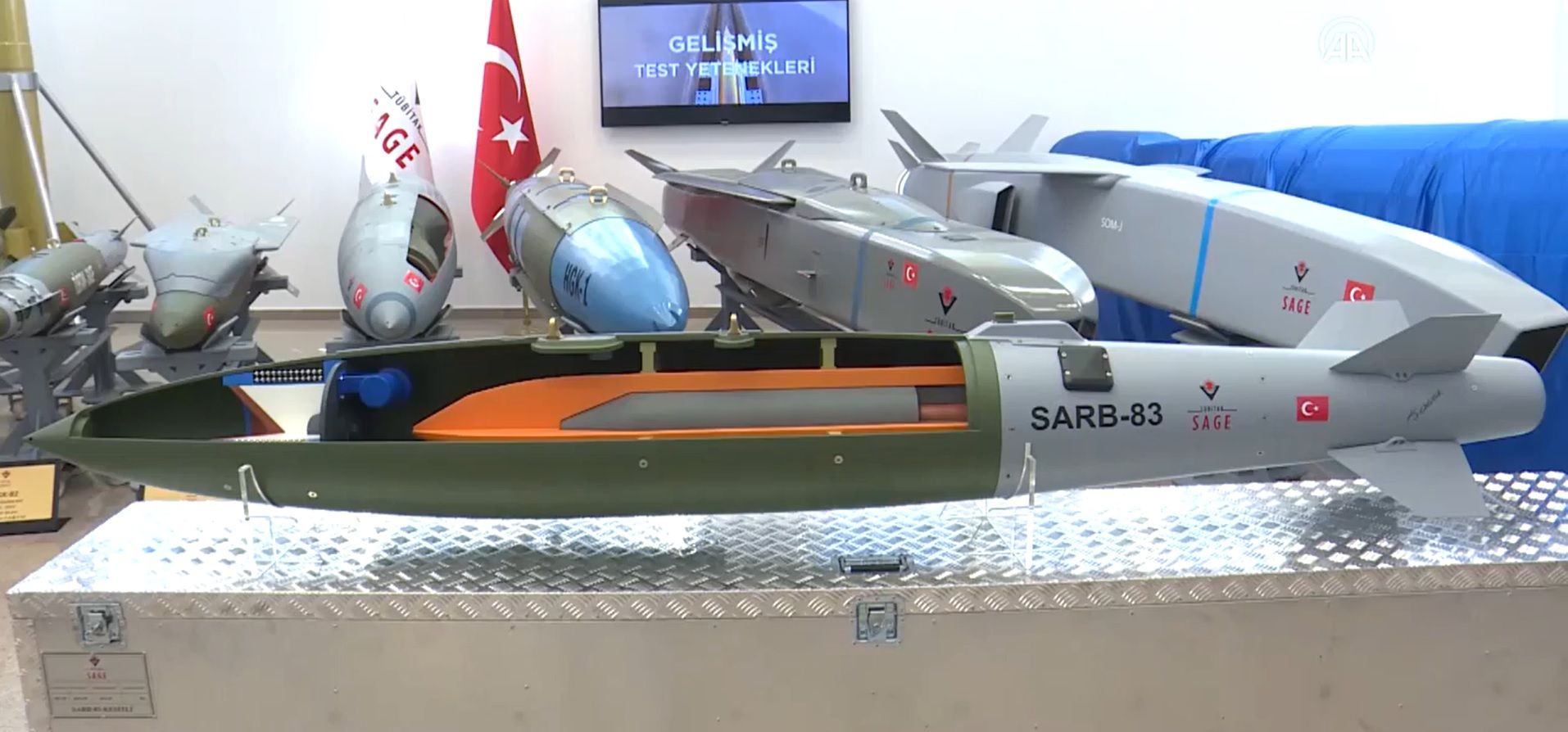 sarb 83 turdef.jpg