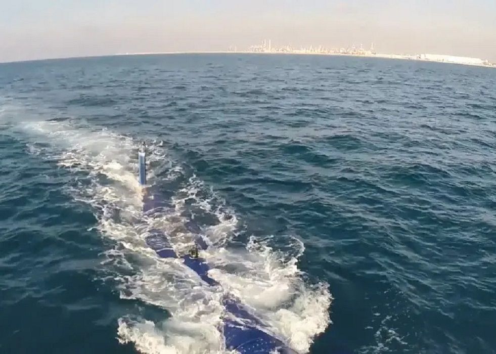 IAI presents Bluewhale TurDef.jpg