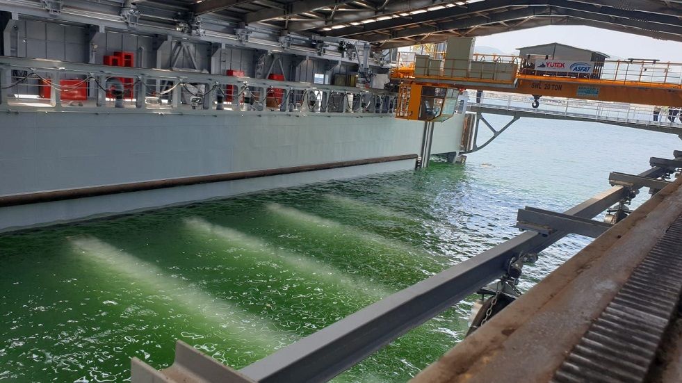 Floating dock TurDef.jpg