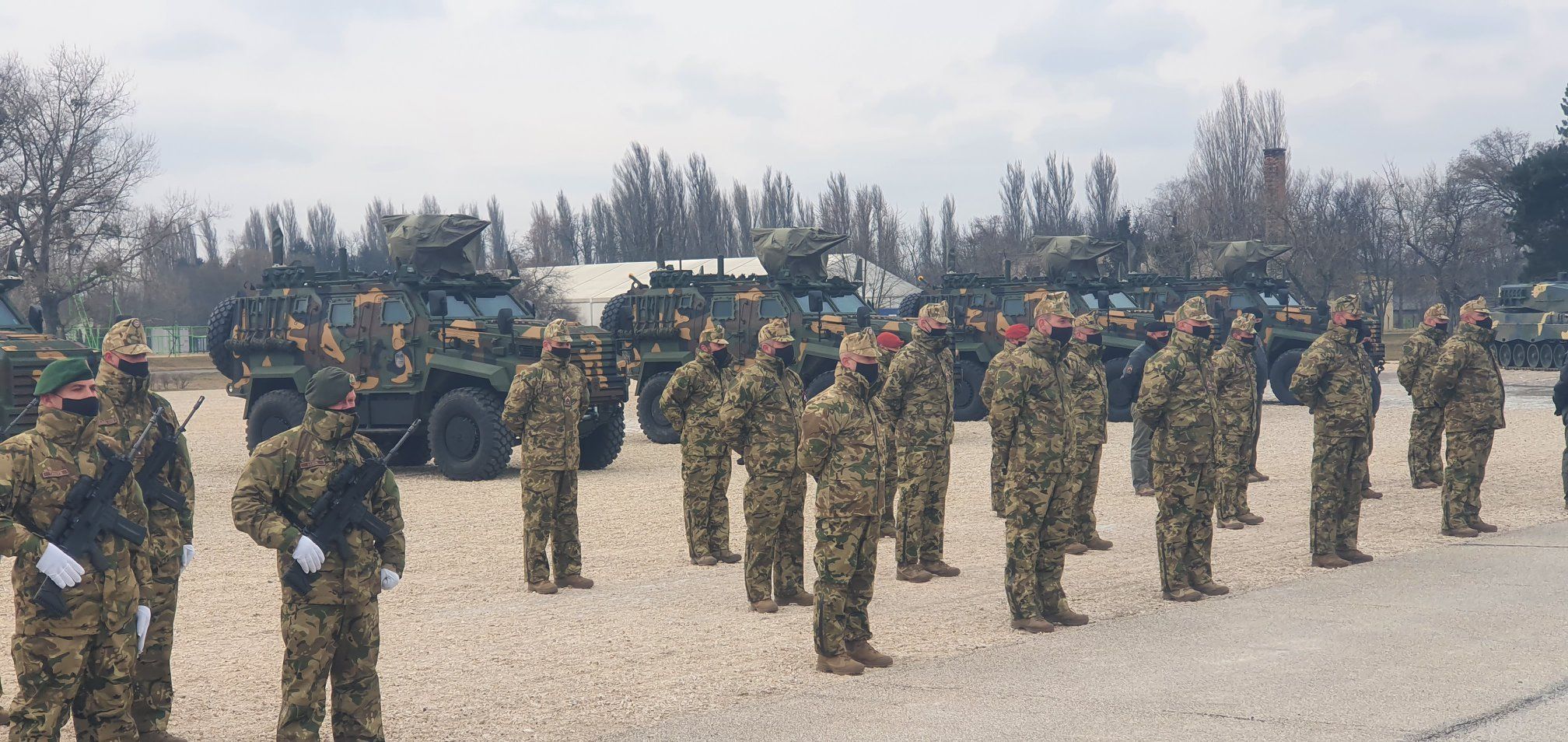 Turkish Ejders in Hungary
