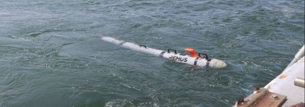 US Navy HII REMUS 300 TurDef.jpg