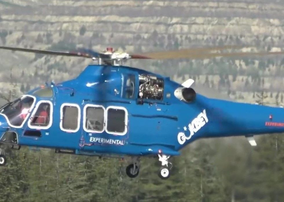 Gokbey TS1400 TurDef.jpg